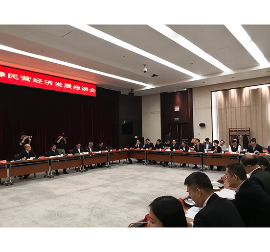 全国人大代表、ga黄金甲集团董事长熊建明参加检察机关服务保障民营经济发展调研座谈会